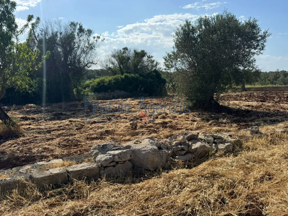 Helårsgrund i Carovigno, Brindisi - foto 2